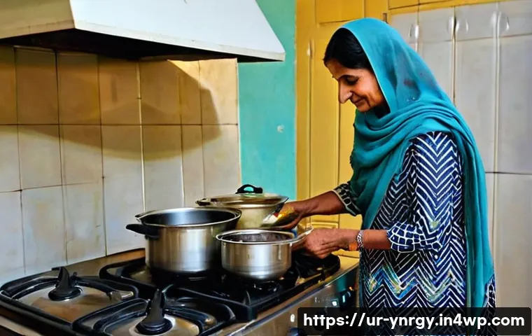 에너지 절약을 위한 간편 조리법 관련 이미지 1