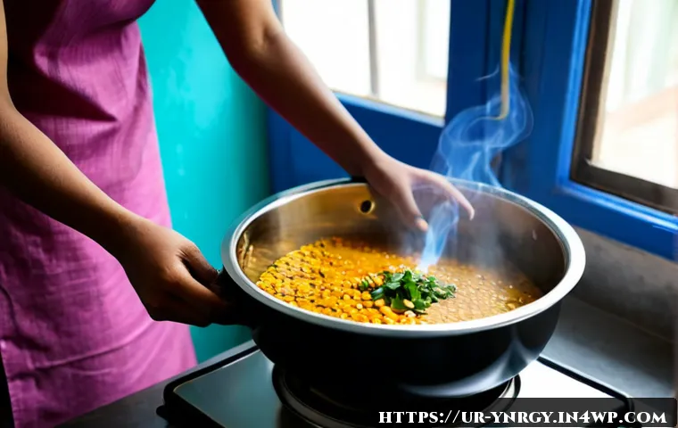가정에서 쉽게 할 수 있는 에너지 절약 조리법 - Photorealistic Pakistani home kitchen, a modest South Asian woman in a colorful shalwar kameez prepa...