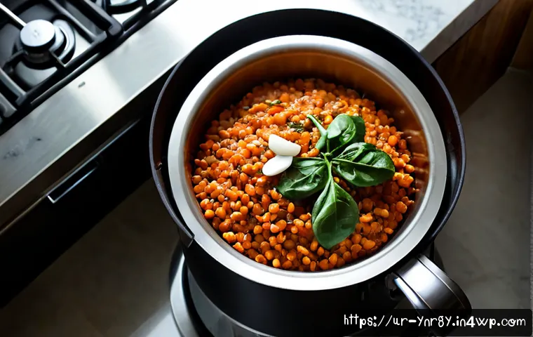 Home 15 에너지 절약을 위한 요리 재료 매칭 - Photorealistic Pakistani home kitchen, an energy-saving ingredient pairing for one-pot cooking: red ...